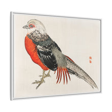 Japanese pheasant by Kōno Bairei (1844-1895)