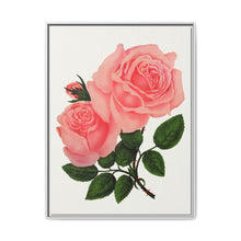 Pink Rose, La France Lithograph (1900) - NOMADEN ART GALLERY