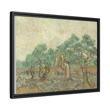 Vincent van Gogh's The Olive Orchard (1889) - NOMADEN ART GALLERY