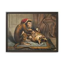 A monkey physician examining a cat patient for fleas. Coloured lithograph - NOMADEN ART GALLERY