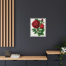 Red Rose, Prince Camille De Rohan Lithograph
