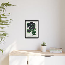 Wachusett Blackberry Lithograph | Vintage Botanical Wall Art