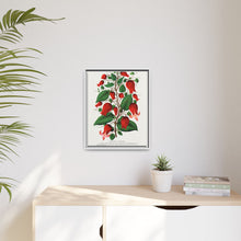 Prunus Triloba flower lithograph. Digitally enhanced from our own original 1900 edition plates of Botanical Specimen published by Rochester Lithographing