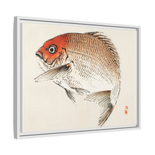 Tai (Red Seabream) fish by Kōno Bairei