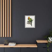 Barraband's Parakeet (Polytelis swainsonii) colored wood-engraved plate by Alexander Francis Lydon