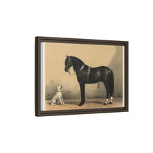 Orloffer (Orloff Horse) by Emil Volkers (1880) - An illustration of a black horse and a white dog - NOMADEN ART GALLERY