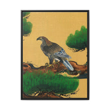 Pine and Eagle, a traditional portrait of a charismatic Japanese eagle by Kano Tanyu (1602-1674) - NOMADEN ART GALLERY