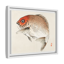 Tai (Red Seabream) fish by Kōno Bairei