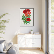 Trumpet flower lithograph. Digitally enhanced from our own original 1900 edition plates of Botanical Specimen published by Rochester Lithographing