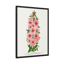 Prunus Triloba flower lithograph. Digitally enhanced from our own original 1900 edition plates of Botanical Specimen published by Rochester Lithographing