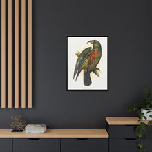 Mountain Parrot (Nestor notabilis) colored wood-engraved plate by Alexander Francis Lydon