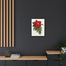 Red rose, Alfred Colomb lithograph. Digitally enhanced from our own original 1900 edition plates of Botanical Specimen published by Rochester Lithographing