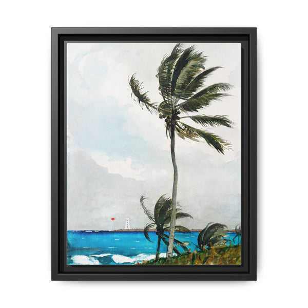 Palm Tree, Nassau (1898) by Winslow Homer - NOMADEN ART GALLERY