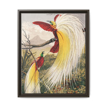 Birds of Paradise: Vintage Natural History Art by Benjamin Fawcett (1808 - 1893) - NOMADEN ART GALLERY
