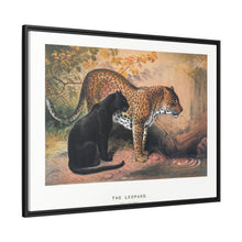 The Leopard from Zoological sketches (1861-1867) by Joseph Wolf and Philip Lutley Sclater