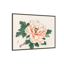 Pink rose by Kōno Bairei (1844-1895)
