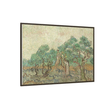 Vincent van Gogh's The Olive Orchard (1889) - NOMADEN ART GALLERY