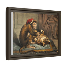 A monkey physician examining a cat patient for fleas. Coloured lithograph