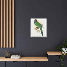Lydon's Yellow-Naped Parrakeet | Vintage Bird Wall Art Print