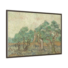 Vincent van Gogh's The Olive Orchard (1889) - NOMADEN ART GALLERY