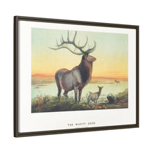 The Wapiti from Zoological sketches (1861-1867) by Joseph Wolf and Philip Lutley Sclater