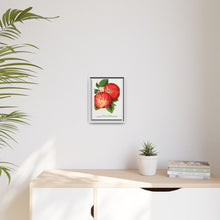 Duchess of Oldenburg apples lithograph from Botanical Specimen published by Rochester Lithographing