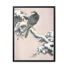 Goshawk on Snow-covered Pine Bough by Ohara Koson (1877–1945) - NOMADEN ART GALLERY