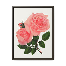Pink Rose, La France Lithograph (1900) - NOMADEN ART GALLERY