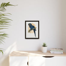 Hyacinthine Macaw (Anodorhynchus hyacinthinus) colored wood-engraved plate by Alexander Francis Lydon.