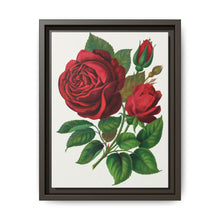 Red Rose, Prince Camille De Rohan Lithograph - NOMADEN ART GALLERY