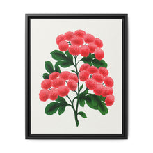 Paul's New Double Flowering Thorn lithograph. Digitally enhanced from our own original 1900 edition plates of Botanical Specimen published by Rochester Lithographing - NOMADEN ART GALLERY