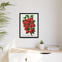 Industry Gooseberry lithograph. Digitally enhanced from our own original 1900 edition plates of Botanical Specimen published by Rochester Lithographing