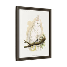 Goffin's Cockatoo (Cacatua goffiniana) colored wood-engraved plate by Alexander Francis Lydon.