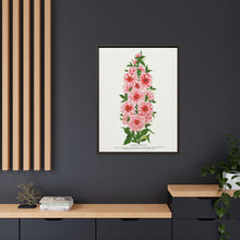 Prunus Triloba flower lithograph. Digitally enhanced from our own original 1900 edition plates of Botanical Specimen published by Rochester Lithographing