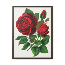 Red Rose, Prince Camille De Rohan Lithograph - NOMADEN ART GALLERY