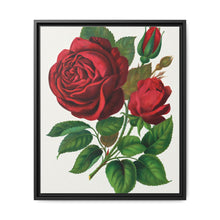 Red Rose, Prince Camille De Rohan Lithograph - NOMADEN ART GALLERY