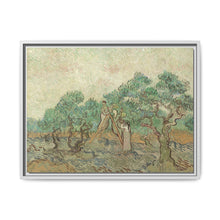 Vincent van Gogh's The Olive Orchard (1889) - Historical Art Canvas Print - NOMADEN ART GALLERY