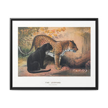 The Leopard from Zoological sketches (1861-1867) by Joseph Wolf and Philip Lutley Sclater - NOMADEN ART GALLERY