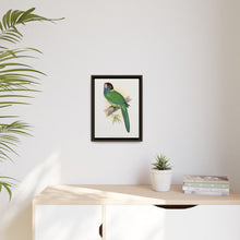 Lydon's Yellow-Naped Parrakeet | Vintage Bird Wall Art Print