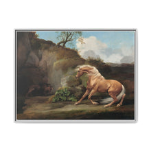 Horse Frightened by a Lion (1762–1768) by George Stubbs - NOMADEN ART GALLERY