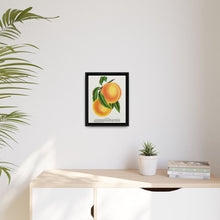 Champion plum lithograph from Botanical Specimen published by Rochester Lithographing - NOMADEN ART GALLERY
