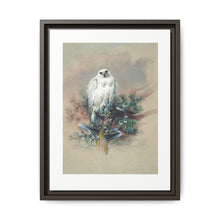 The Greenland Falcon from Zoological sketches (1861-1867) by Joseph Wolf and Philip Lutley Sclater - NOMADEN ART GALLERY