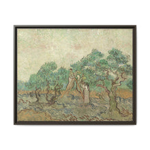 Vincent van Gogh's The Olive Orchard (1889) - Historical Art Canvas Print - NOMADEN ART GALLERY