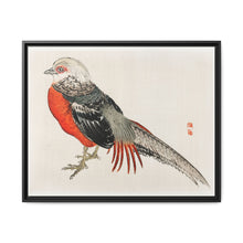 Japanese pheasant by Kōno Bairei (1844-1895) - NOMADEN ART GALLERY