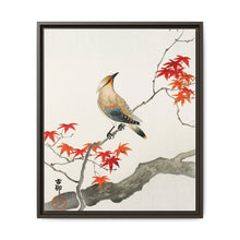 Japanese plague bird on maple (1900 - 1936) by Ohara Koson