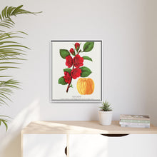 Japan Quince tree lithograph. Digitally enhanced from our own original 1900 edition plates of Botanical Specimen published by Rochester Lithographing