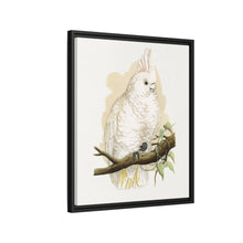 Goffin's Cockatoo (Cacatua goffiniana) colored wood-engraved plate by Alexander Francis Lydon.
