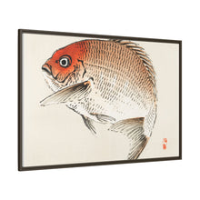 Tai (Red Seabream) fish by Kōno Bairei