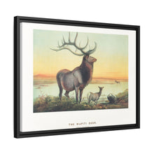 The Wapiti from Zoological sketches (1861-1867) by Joseph Wolf and Philip Lutley Sclater
