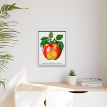 Wolf River Apple Lithograph | Vintage Botanical Wall Art Print